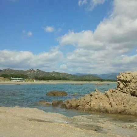 Santa Suia *