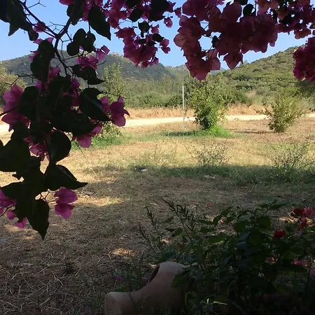 Bed and Breakfast Santa Suia *