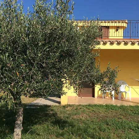 Santa Suia